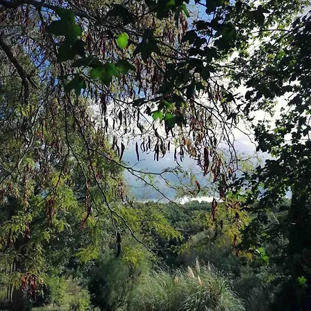 Manoir 4 Etoiles A Avec Piscine Privee Et Cheminee * Pech-Luna
